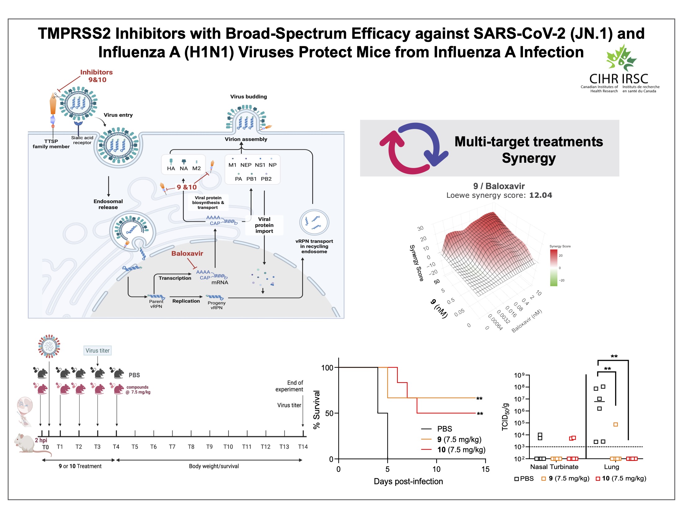 Host-directed antiviral schematic